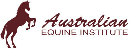 Australian Equine Institute